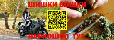 дмт Будённовск