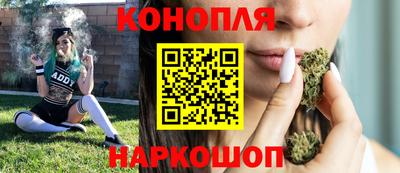 дмт Будённовск