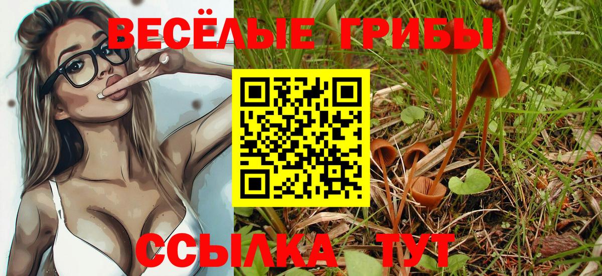 Лениногорск  Псилоцибиновые грибы Magic Shrooms  Вход с VPN 
